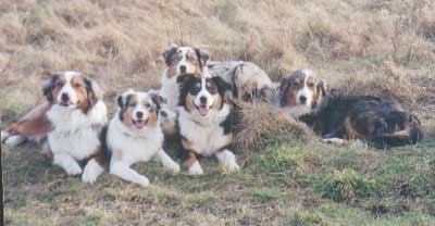 5imark