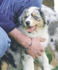 blue_eyes