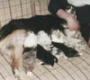 sofahygge_m