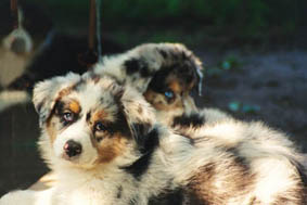 Opal & Olina