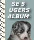  5 uger