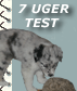 Hvalpetest/eksteriør