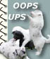 UPS