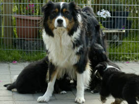 New mother